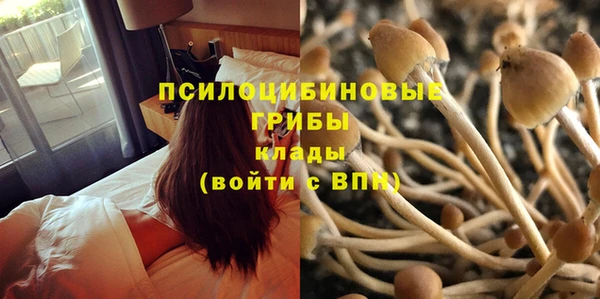гидропоника Алзамай