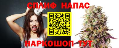 гидропоника Жуковский