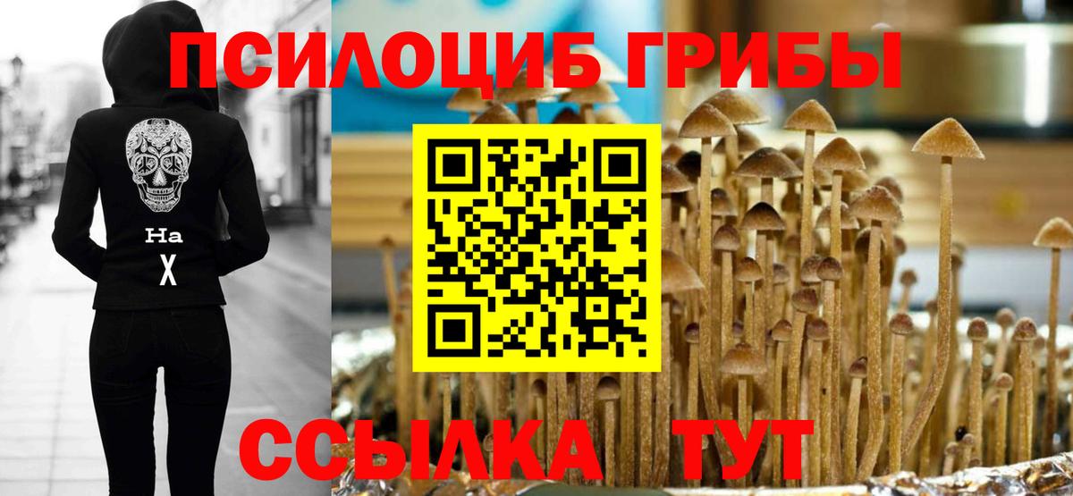 Галлюциногенные грибы MAGIC MUSHROOMS  наркота  Вход с VPN  Нальчик  Галлюциногенные грибы MAGIC MUSHROOMS 