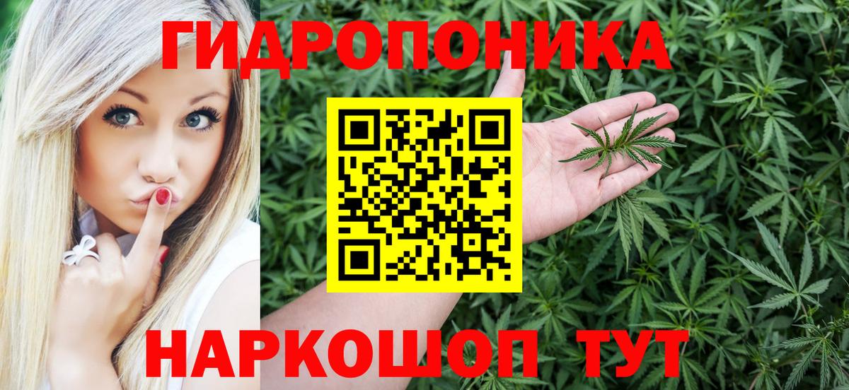Бошки Шишки THC 21% Нальчик
